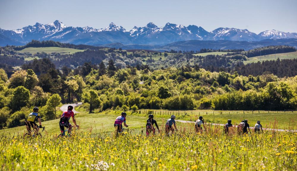 Tres ciclistas andando por una pista entre abetos de la Selva de Irati